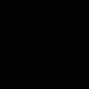 Meet your Posher, Ebony